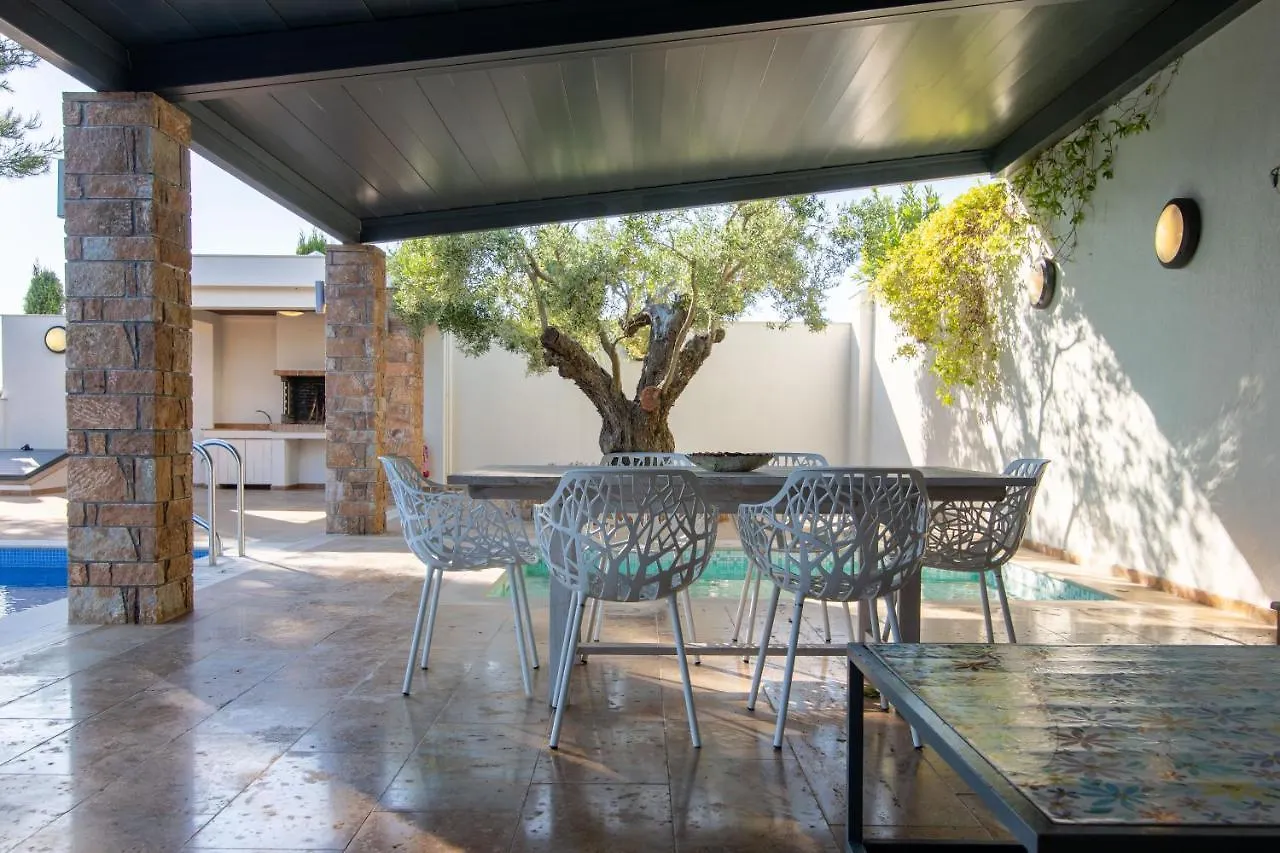 Apartament F & B Summer Family Villa - Kassandra - Siviri